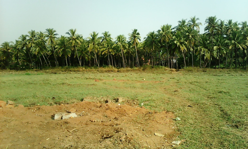  Agricultural Land 2600 Sq.ft. for Sale in Shiroda, Goa