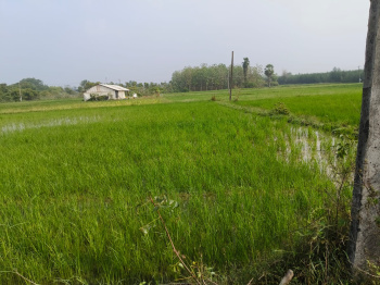  Agricultural Land for Sale in Olakkur, Villupuram