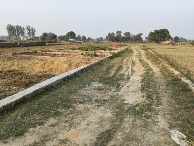  1000 Sq.ft. Residential Plot for Sale in Kasia Bazaar, Kushinagar