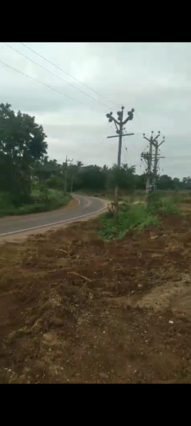 Agricultural Land 2 Acre for Sale in Pollachi, Coimbatore