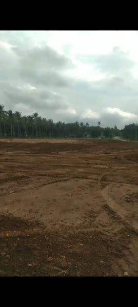  Agricultural Land 2 Acre for Sale in Pollachi, Coimbatore