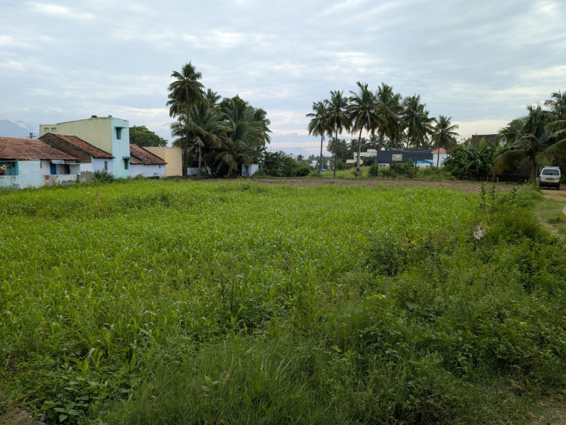  Residential Plot 20000 Sq.ft. for Sale in Ponnammapet, Salem