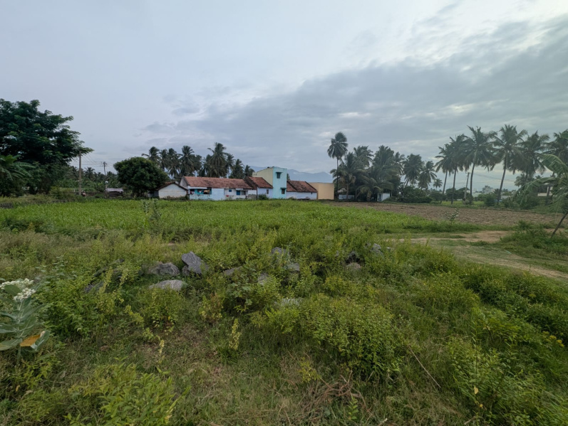  Residential Plot 20000 Sq.ft. for Sale in Ponnammapet, Salem