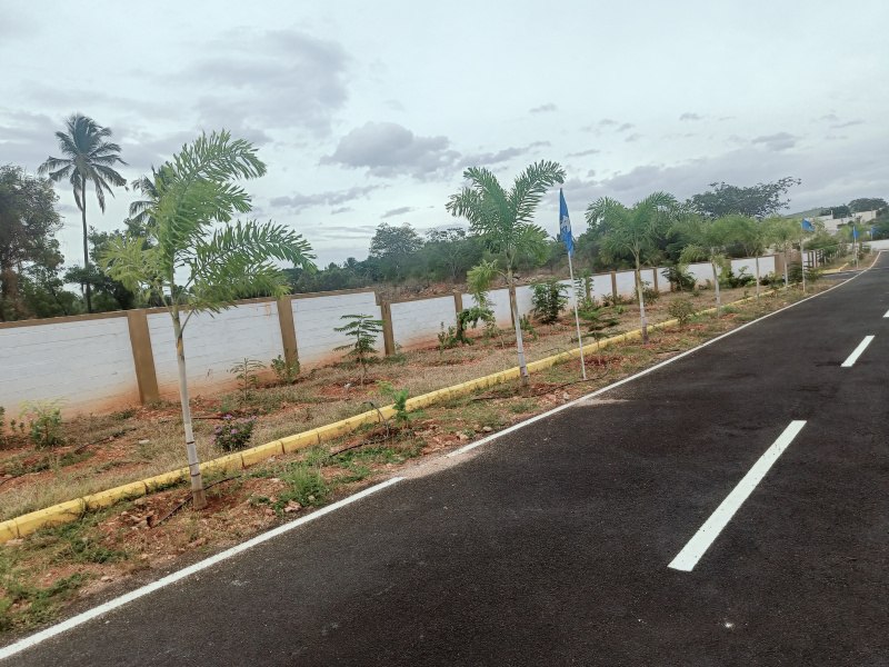  Residential Plot 931 Sq.ft. for Sale in Kottur, Coimbatore