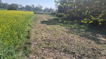  Agricultural Land for Sale in Mohanlalganj, Lucknow