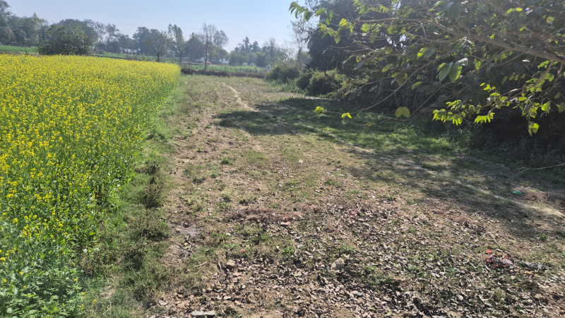  Agricultural Land 9450 Sq.ft. for Sale in Mohanlalganj, Lucknow