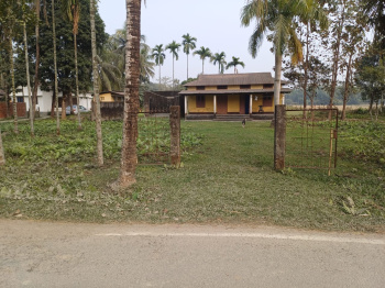  Residential Plot for Sale in Sarbhog, Barpeta