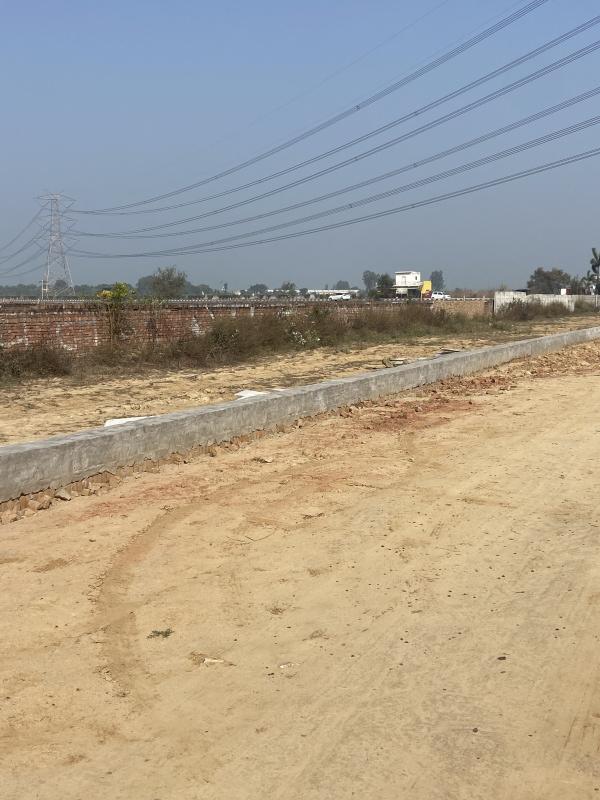  Residential Plot 18 Bigha for Sale in Dadri Road, Greater Noida