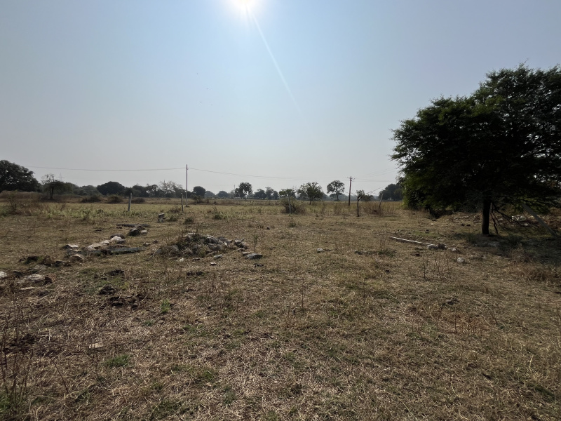  Residential Plot 302 Sq.ft. for Sale in Yennepally, Vikarabad