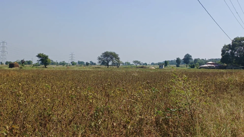  Agricultural Land 60 Acre for Sale in Shahpur, Betul