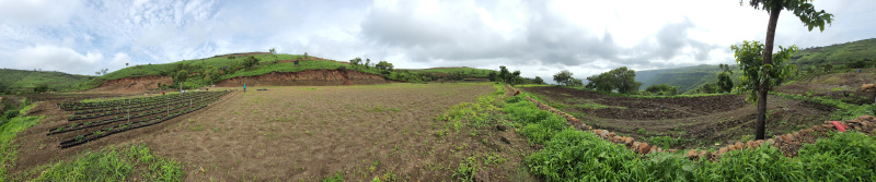  Agricultural Land 4 Acre for Sale in Wai, Satara