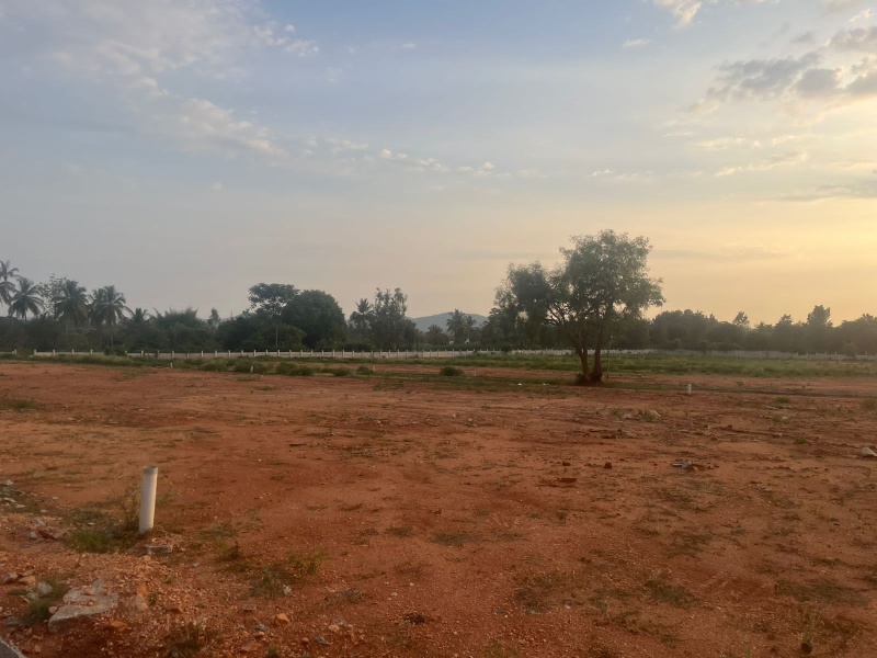  1350 Sq.ft. Residential Plot for Sale in Bidadi, Bangalore