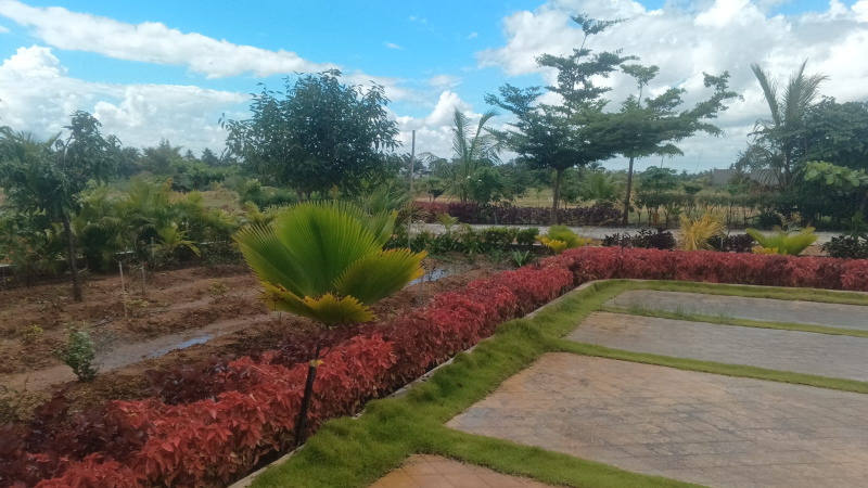  1200 Sq.ft. Residential Plot for Sale in Chikkaballapur, Bangalore