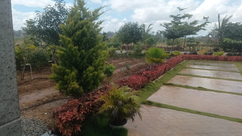  1200 Sq.ft. Residential Plot for Sale in Chikkaballapur, Bangalore