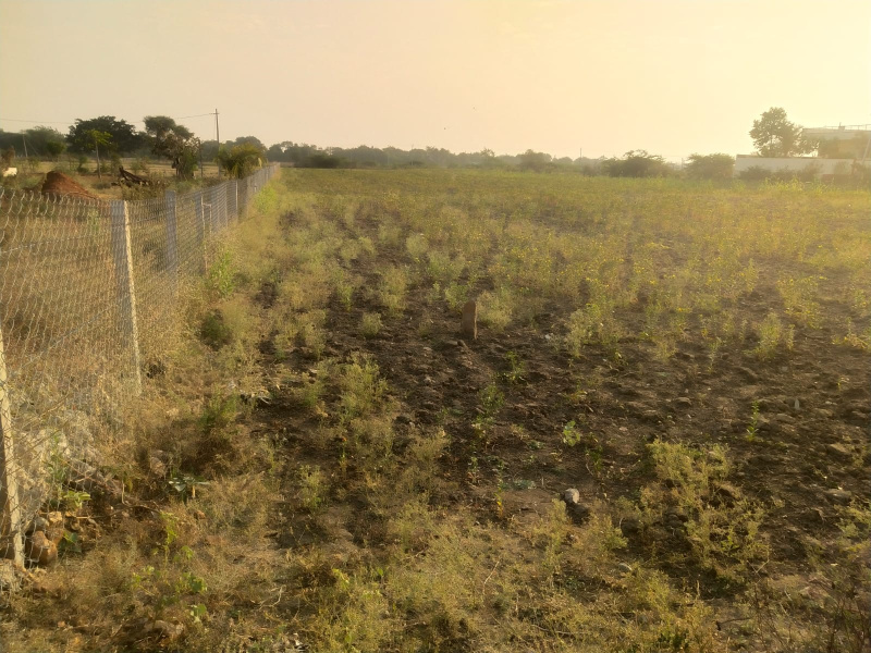  Agricultural Land 2 Acre for Sale in Narayanpet, Mahbubnagar