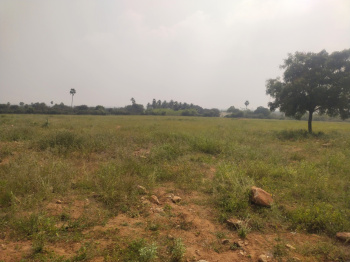  Agricultural Land for Sale in Thanthoni, Karur