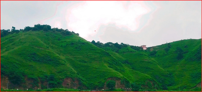  Commercial Land 2785 Sq. Meter for Sale in Naldehra, Shimla