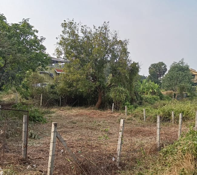  Residential Plot 5 Cent for Sale in Alagappapuram, Kanyakumari