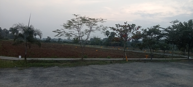  Residential Plot 167 Sq. Yards for Sale in Boddam, Visakhapatnam