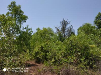 Residential Plot for Sale in Indira Nagar, Udupi