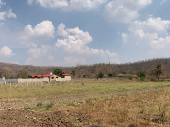  Agricultural Land for Sale in Rau, Indore