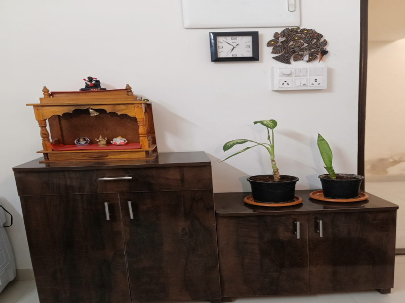 1 BHK Apartment 490 Sq.ft. for Rent in EON Free Zone, Pune, Kharadi, 