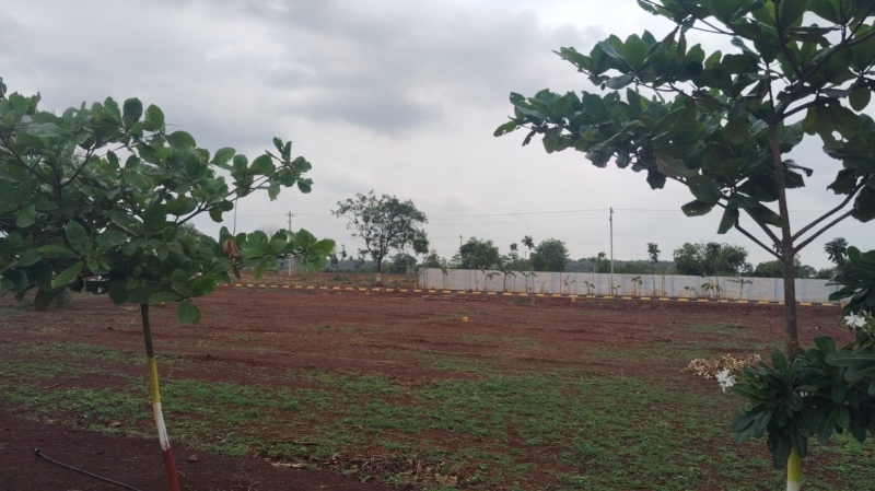  Residential Plot 150 Sq. Yards for Sale in Pamarru, Vijayawada