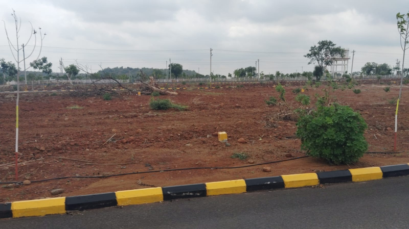  Residential Plot 150 Sq. Yards for Sale in Pamarru, Vijayawada