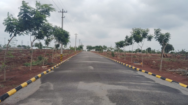  Residential Plot 150 Sq. Yards for Sale in Pamarru, Vijayawada