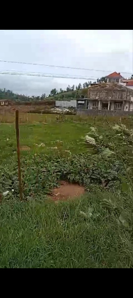  Agricultural Land 10440 Sq.ft. for Sale in Ketti, Ooty