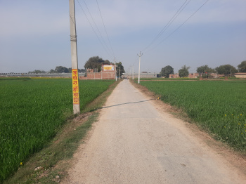  Residential Plot for Sale in Paharia, Varanasi