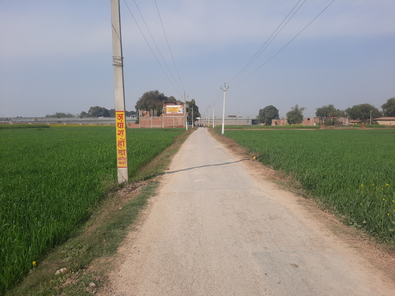  Residential Plot 1360 Sq.ft. for Sale in Paharia, Varanasi