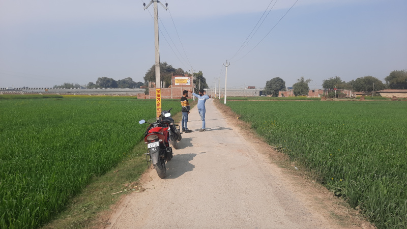  Residential Plot 1360 Sq.ft. for Sale in Paharia, Varanasi