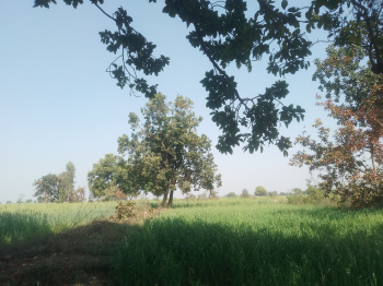  Agricultural Land for Sale in Mahroni, Lalitpur