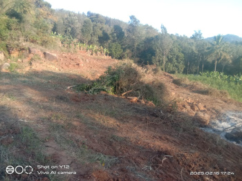  Agricultural Land for Sale in Kolli Hills, Namakkal