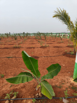  Agricultural Land for Sale in Madurantakam, Kanchipuram