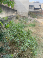  Residential Plot for Sale in Devipura, Sikar