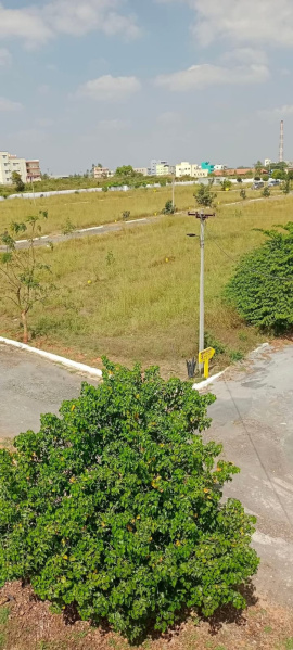  Residential Plot 1500 Sq.ft. for Sale in Andhiwadi, Hosur