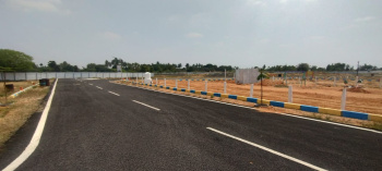  Residential Plot for Sale in Panjapur, Tiruchirappalli