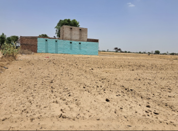  Agricultural Land for Sale in Kosli, Rewari