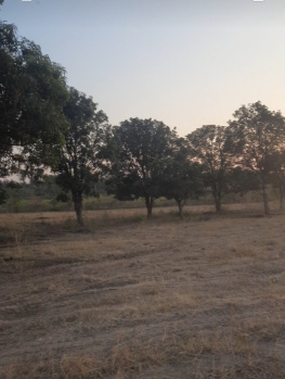  Agricultural Land for Sale in Warud, Amravati