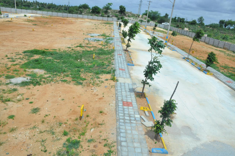  Residential Plot 1200 Sq.ft. for Sale in Gauribidanur, Chikkaballapur, Bangalore