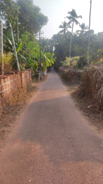  Residential Plot 21 Cent for Sale in Kadirur, Kannur