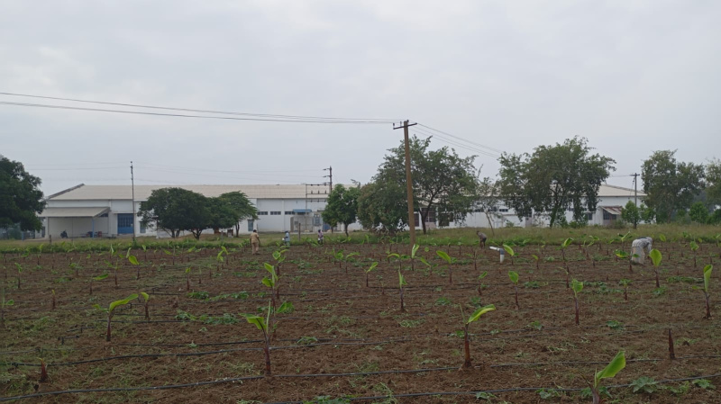  Warehouse 50000 Sq.ft. for Rent in Lakshmipuram, Theni