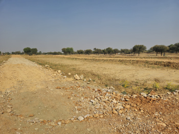  Residential Plot for Sale in Khatu, Sikar