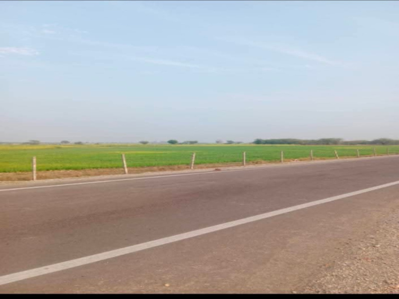 1 BHK 17 Bigha Farm House for Sale in Shahpura, Jaipur