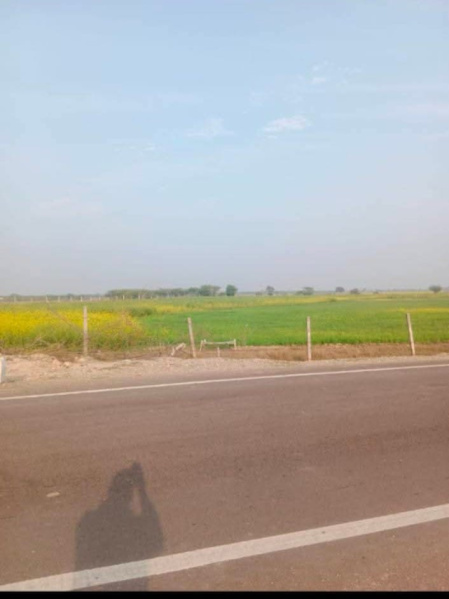 1 BHK 17 Bigha Farm House for Sale in Shahpura, Jaipur