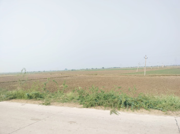 Agricultural Land for Sale in Bundi Road, Kota