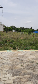  Residential Plot for Sale in Chettinayakampatti, Dindigul