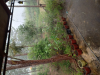 Agricultural Land for Sale in T.Begur, Nelamangala, Bangalore